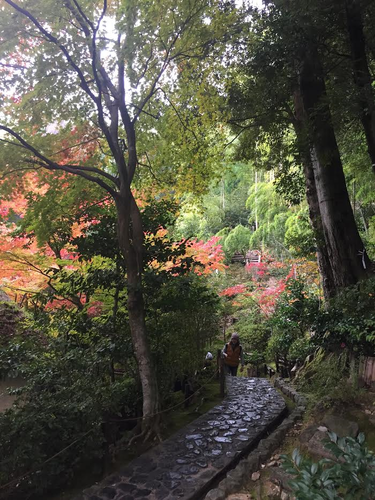 鈴虫２