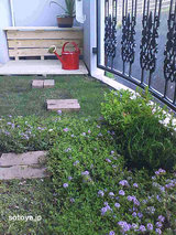 82718b85.jpg