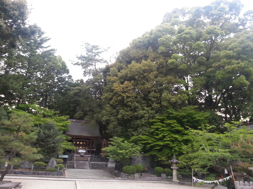 20130504_172604