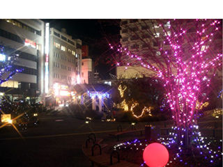 5881_kiji_1