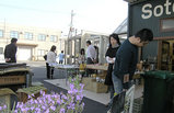 8f356e74.jpg