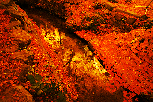 DSC01040