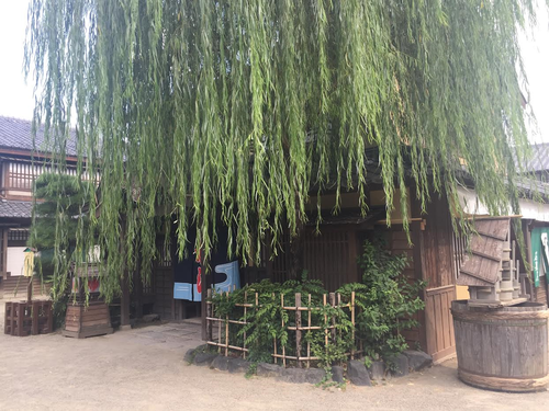 太秦２