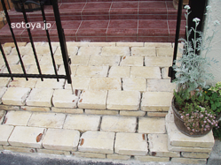 P6040072