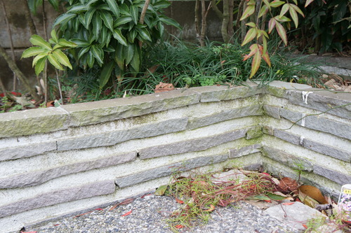 DSC08569
