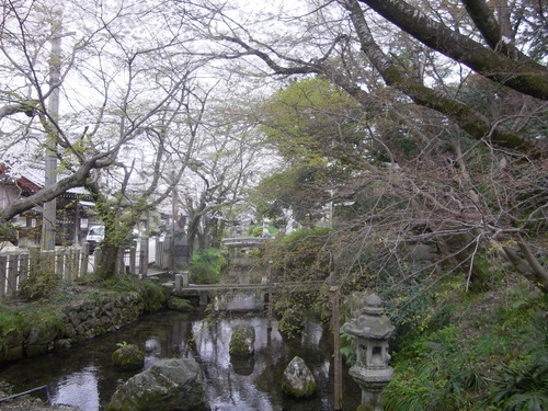 IMGP9477