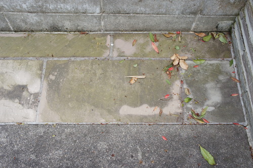 DSC08565