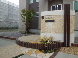 CIMG4454