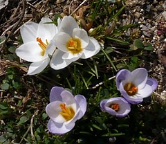 P1000702