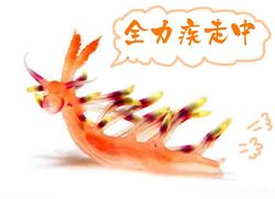 wp_large_20080729_6のコピー