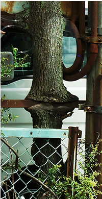 DSC02463