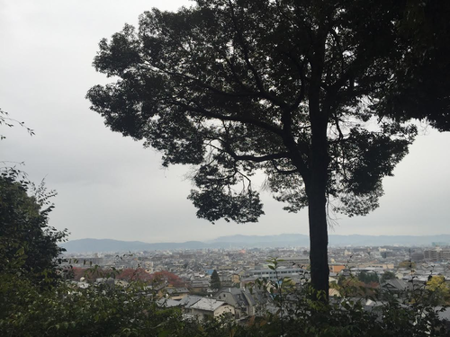 鈴虫３