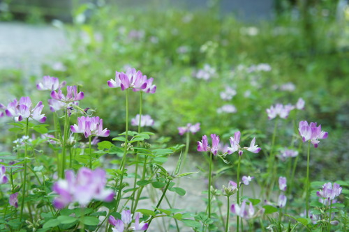 DSC04687