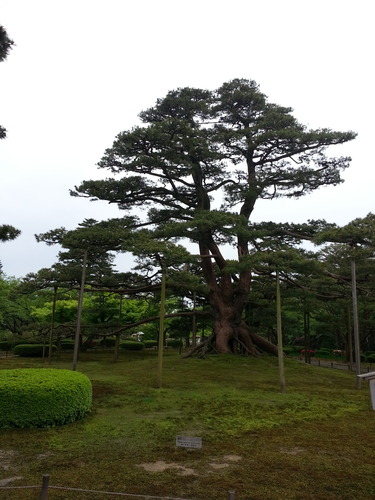20140505_082659