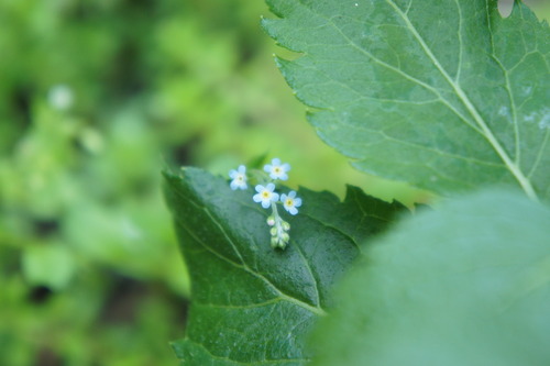 DSC04691