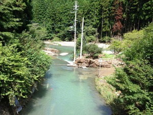 IMG_1031