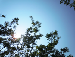 DSCN0097