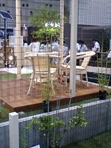 d3659083.jpg
