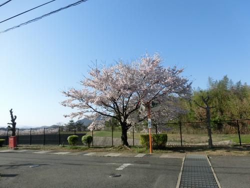CIMG9134