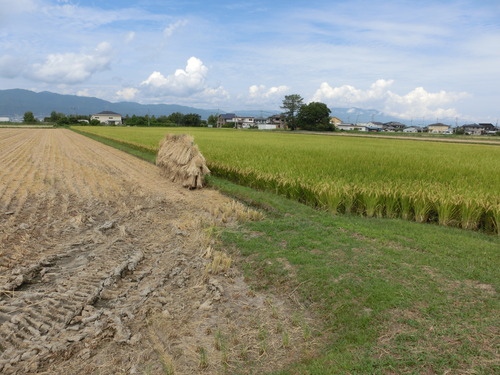 CIMG0431