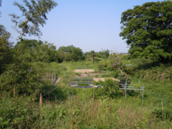 DSCN0094