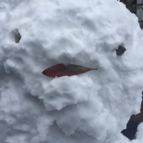 雪だるま１