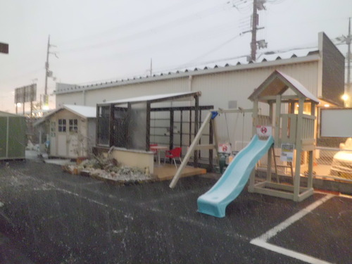 CIMG8992