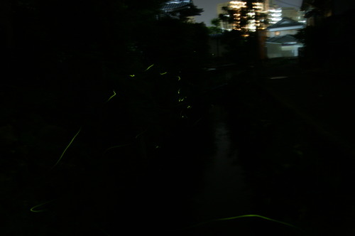 DSC04809