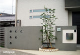 e57f0361.jpg