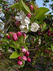 P1000936
