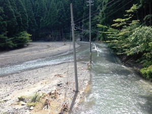 IMG_1032