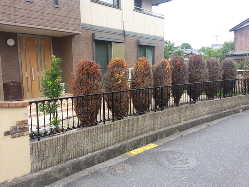 20140626_151701