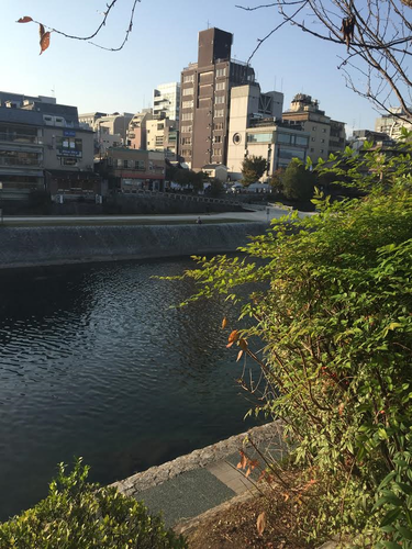 京都４