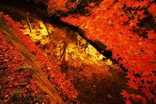 DSC01045