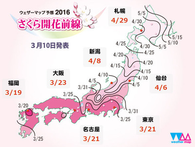桜前線