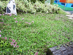 DSCN0014