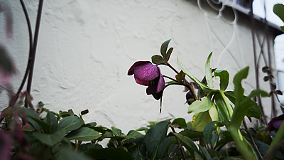 DSC02879
