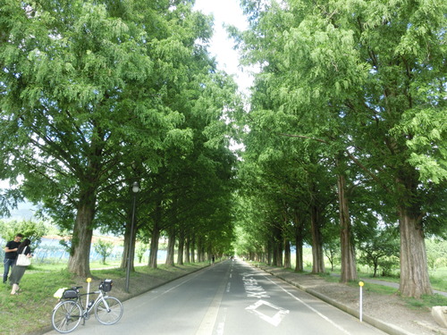 CIMG0035