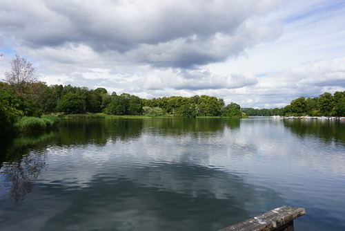 DSC00917