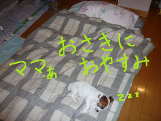 47e21402.jpg