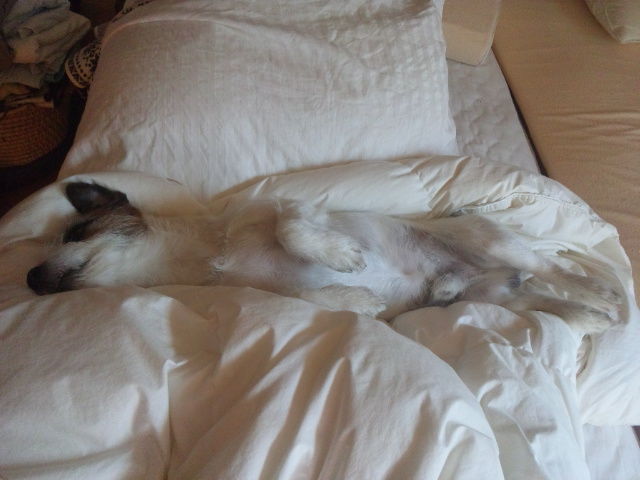 131030_082940.jpg
