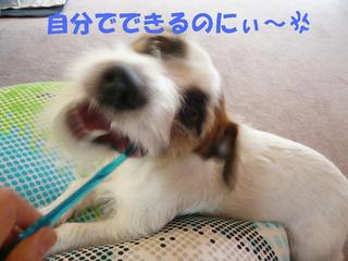 5ebd33d8.jpg