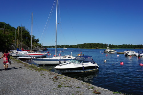 DSC01017