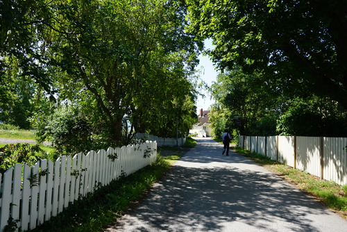 DSC01011