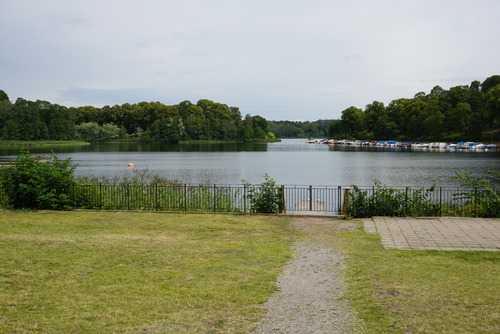 DSC00854