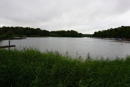 DSC00860