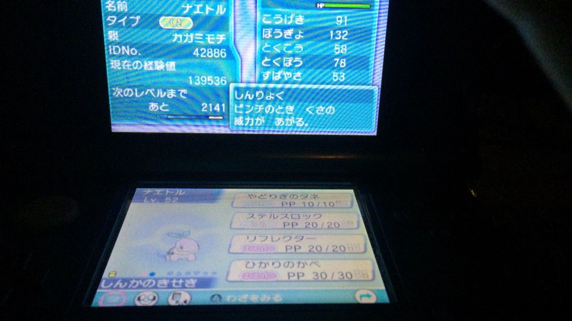 鏡餅のポケモン ナエトルと歩むシングルレートその1 鏡餅のガンダム ポケモン考察 感想blog 鏡餅のポケモン ナエトルと歩むシングルレートその1 鏡餅のガンダム ポケモン考察 感想blog