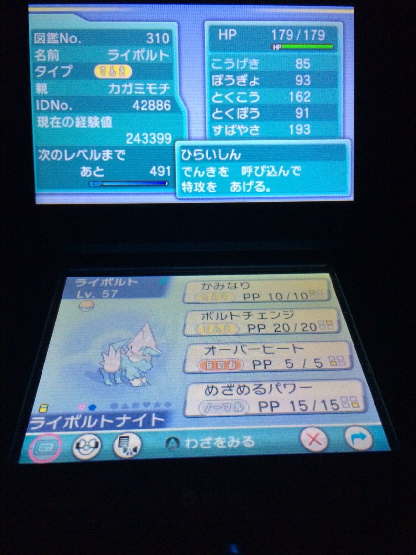 鏡餅のポケモン メガライボルト 鏡餅のガンダム ポケモン考察 感想blog 鏡餅のポケモン メガライボルト 鏡餅のガンダム ポケモン考察 感想blog