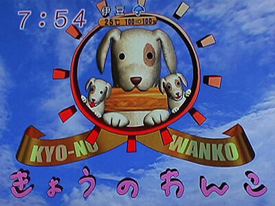 めざましテレビ きょうのわんこ 14匹目 山ちゃんの見知りblog めざましテレビ きょうのわんこ 14匹目 山ちゃんの見知りblog