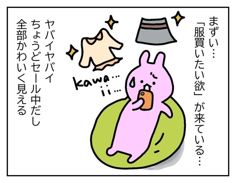 季節の変わり目に突然やってくる「服が欲しい！